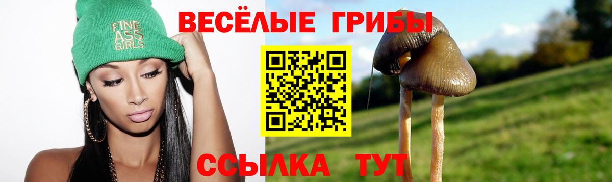 Псилоцибиновые грибы GOLDEN TEACHER  Вход с VPN  Омск 